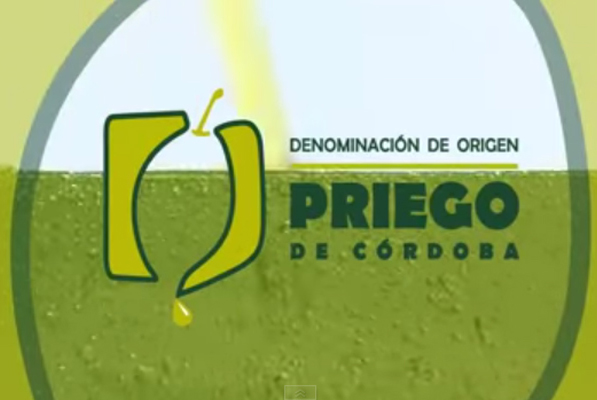 olio DOP priego de cordoba